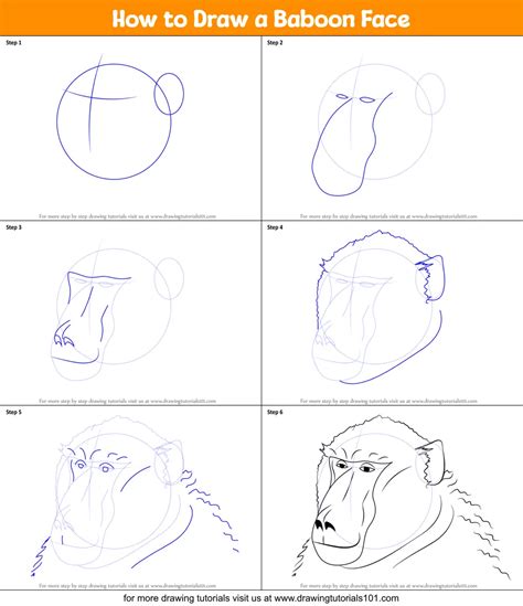 How to Draw a Baboon Face printable step by step drawing sheet : DrawingTutorials101.com