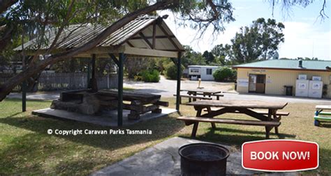 Caravan Park Tomahawk Accommodation Tomahawk Tent Camping Campground Backpacker Bridport ...