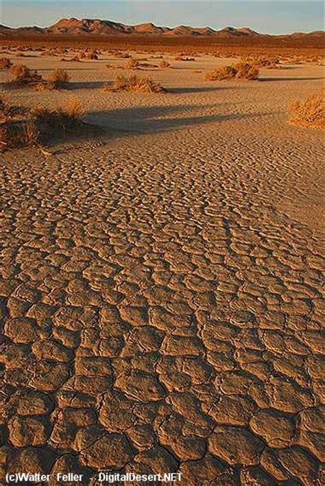 Mojave Desert: A Dynamic Geological Masterpiece