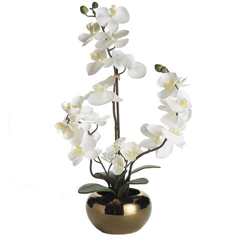 Centerpiece | Arrangements d'orchidées, Decoration, Sujets de peinture