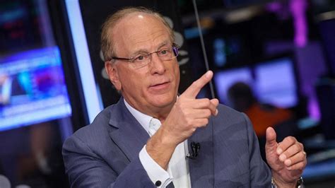 BlackRock, CEO Larry Fink are ‘poster children for ESG,’ critic says ...