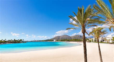 Alcudia Holidays 2020/2021