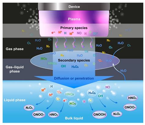 Biomedicines | Free Full-Text | Applications of Plasma-Activated Liquid in the Medical Field