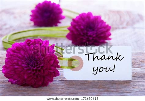 Label Thank You Purple Flowers Green Stock Photo (Edit Now) 173630615