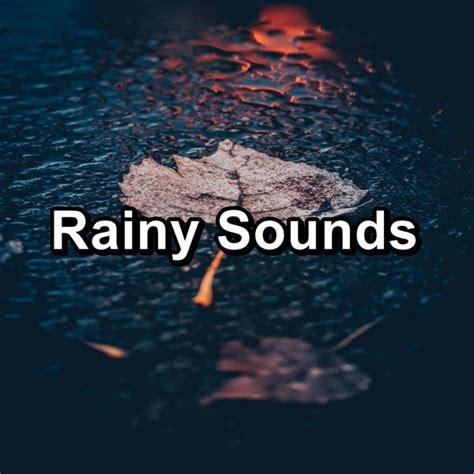 Rainy Sounds, Nature - Qobuz