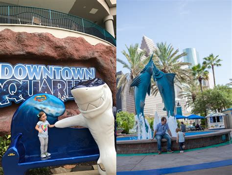 Houston Downtown Aquarium – Spoonful of Joy