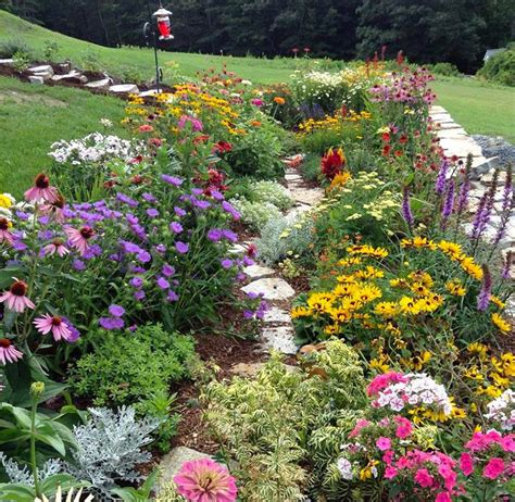 Photo of the Week: A customer's garden in FULL bloom. How many ...