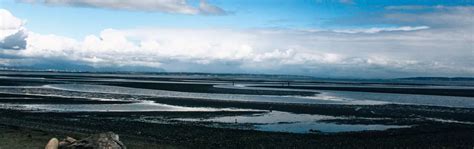 Boundary Bay Regional Park, Tsawwassen | Vancouver Trails