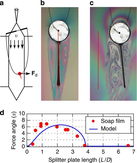 Soap-film experiments of a freely hanging body. (a) Schematic of the... | Download Scientific ...