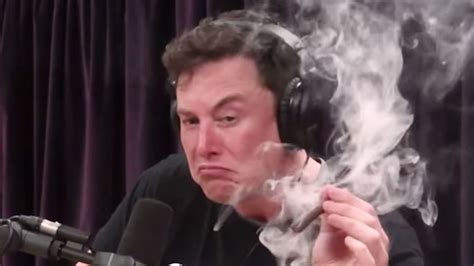 Elon Musk may have violated Tesla conduct policy by smoking weed