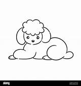 A cute Gray poodle Puppy For coloring Stock Vector Image & Art  Alamy sketch template