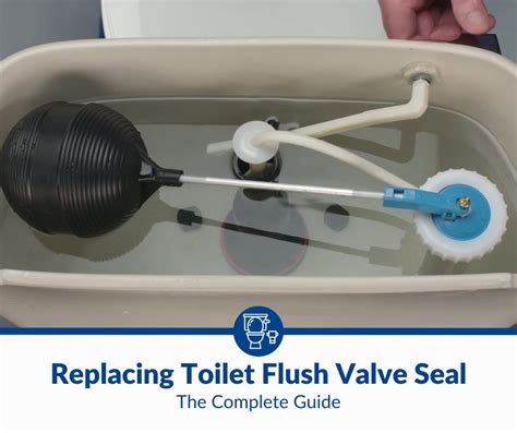 How To Replace Toilet Flush Valve Seal (2025)