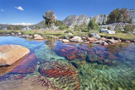 USA, California, Inyo National Forest Photograph by Jaynes Gallery - Pixels