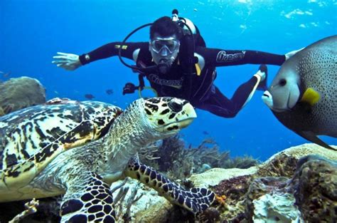 Scuba diving in Andaman