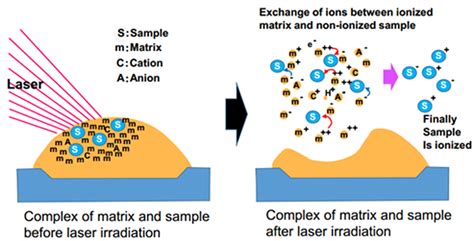 Mass spectrometry imaging for early discovery and development of cancer drugs