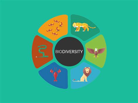 What Is Biodiversity (Biological Diversity)? - Earth How