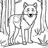 Realistic Timberwolf In Forest Coloring Page 17101 13492 sketch template
