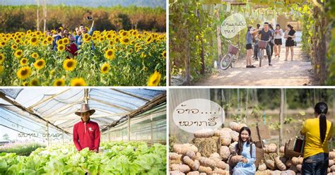 Phutawen Farm: The new hub of sustainable agro-tourism in Lao PDR