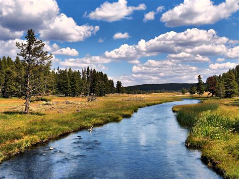 nature pictures - Search Yahoo Image Search Results | Beautiful landscapes, Yellowstone national ...