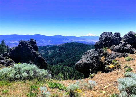 Celebrate Biodiversity at Cascade-Siskiyou National Monument | Sierra ...