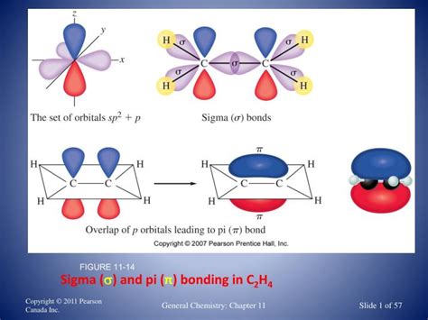 PPT - Sigma ( s ) and pi ( π ) bonding in C 2 H 4 PowerPoint Presentation - ID:4187224