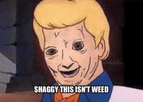 This isn't weed | Scooby-Doo | Know Your Meme