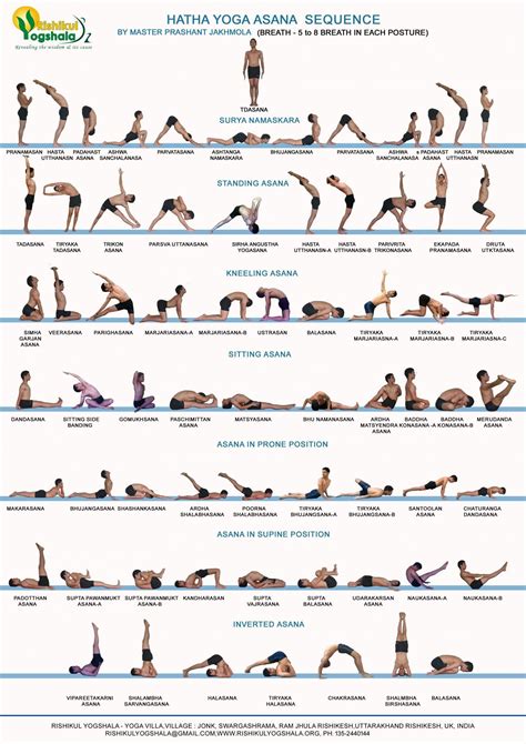 Hatha Yoga Primary Series Infographic | Hatha yoga sequence, Easy yoga ...