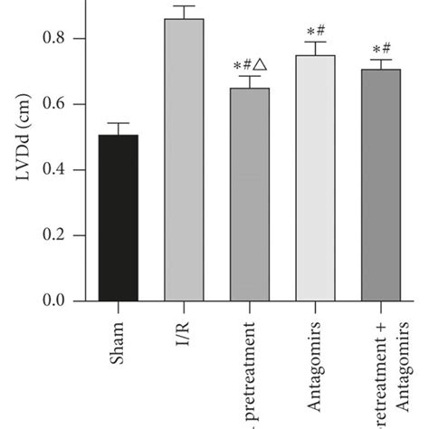 Comparison of LVEF (a), LVFS (b), LVDs (c), and LVDd (d) indexes of rat... | Download Scientific ...