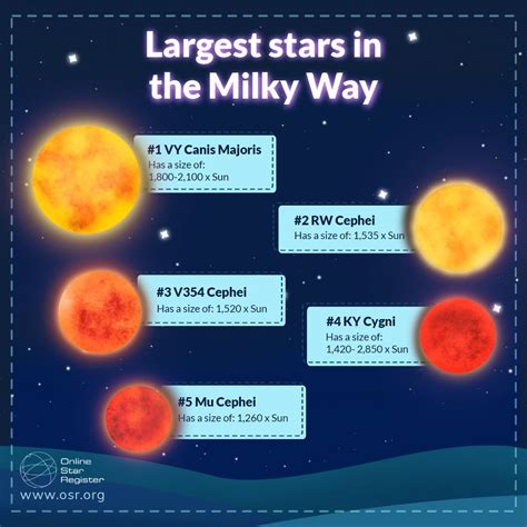 Learn about the largest stars in the Milky Way #astronomy #starfacts #stargazing #nameastar #OSR ...