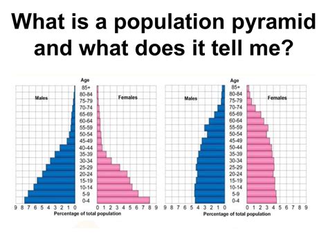 What is a population pyramid and what does it tell