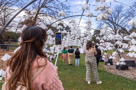 Floriade is back, but what's blooming this time? | About Regional