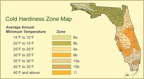 Cold Hardiness Zone Map of Florida! | Map of florida, Florida gardening ...