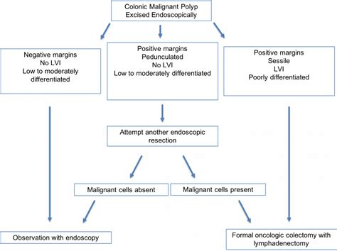 Management of the malignant colorectal polyp—is formal resection needed ...