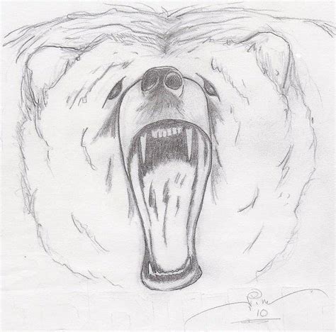 Angry Bear Drawing by Jim Keller - Pixels