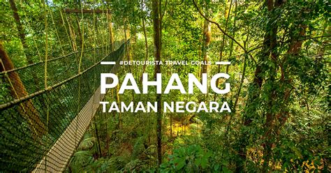 6 BEST PLACES to visit in Pahang Taman Negara + THINGS TO DO