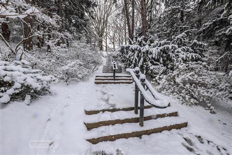 Take a Winter Walk in Rochester, NY