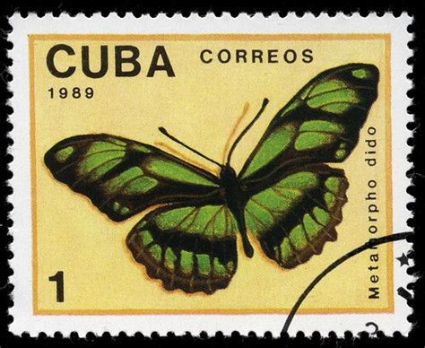 Cuba - Michel Nr 3265 in 2023 | Postage stamps, Butterfly stamp, Cuba