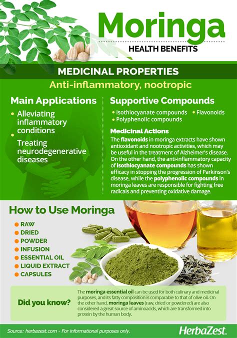 Moringa | HerbaZest