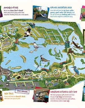 Experience London Wetland Centre | WWT