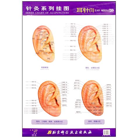 Ear Charts 2/set (35"x47")