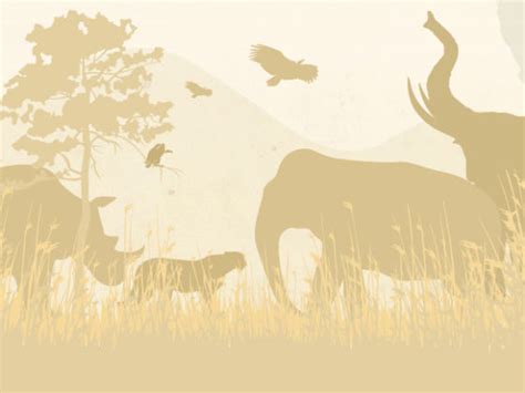 Africa's Most Endangered Species [INFOGRAPHIC]