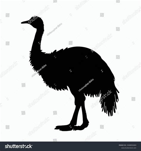 Best Emu Silhouette Royalty-Free Images, Stock Photos & Pictures ...