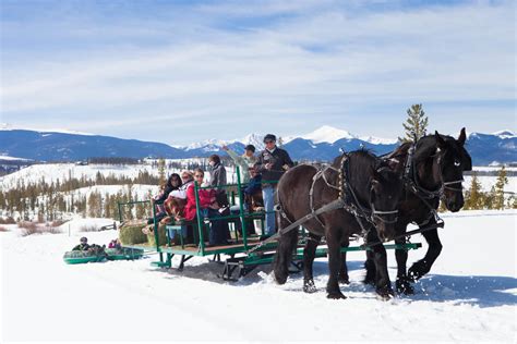 Dog Sled & Horse-Drawn Sleigh Rides in Granby, Colorado