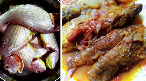 Red Snapper fish curry in odia | Sankara Fish curry | Sea fish curry ...