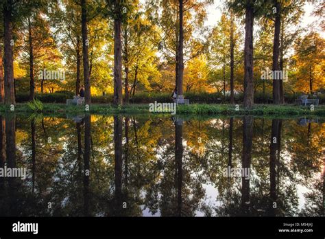 Seoul forest autumn Stock Photo - Alamy