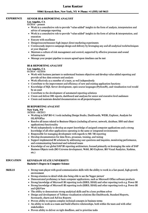 BI & Reporting Resume Samples | Velvet Jobs