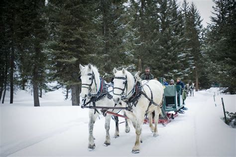 Sleigh Ride Dinner | Lone Mountain RanchLone Mountain Ranch