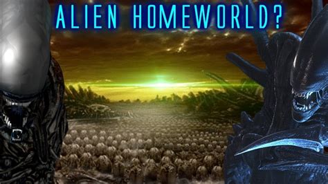 Xenomorph Prime Explained / Can the Alien Homeworld Still Exist in the ...