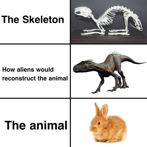 Seriously it feels like they made indoraptor based on bunny skeletons ...