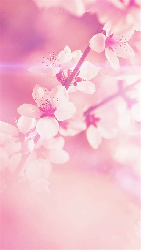 Light Pink Wallpaper High Definition » Hupages » Download Iphone Wallpapers (With images ...